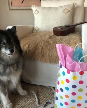 Aleksa Palladino Instagram - This beautiful boy turns 4 today. Look at that face! Happy happy happy Louie ❤️🤍❤️🤍