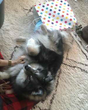 Aleksa Palladino Instagram - This beautiful boy turns 4 today. Look at that face! Happy happy happy Louie ❤️🤍❤️🤍