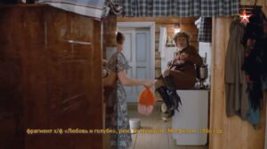 Aleksandr Oleshko Instagram - Про создание песни « Любовь и голуби », с разрешения Владимира Валентиновича Меньшова. @oleshkoaleksandr  #любовьиголуби #владимирменьшов