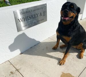 Alessandra Torre Instagram - Read the sign and then scamper away or this bloodthirsty animal… well, JJ wouldn’t pose for the picture but Whiskey also says hi. 👋