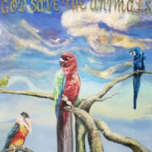 Alex G Instagram - Miracles out now
God Save the Animals out Sept 23

co-produced by Jacob Portrait

limited tix left for fall US tour