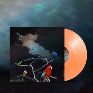 Alex G Instagram - Live From Union Transfer 
Vinyl-only limited release out June 30

Pre-orders avail at sandyalexg.com/merch and Domino Mart

feat:
Sam Acchione (guitar/keys/vocals)
John Heywood (bass/vocals)
Tom Kelly (drums)
Molly Germer (violin/keys)

Recorded by Harrison Fore
Mixed by Harrison Fore and Tom Kelly at Hidden Fortress, Philadelphia
Mastered by Heba Kadry, NYC 
Cover artwork by Rachel Giannascoli Masciantonio