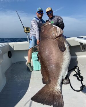 Alex Kompothecras Instagram - My kinda Sunday funday🤪 🙌🏻🙌🏻#warsaw #grouper #freemanboatworks