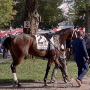 Alex Kompothecras Instagram - Saratoga 🐎🖤🥂