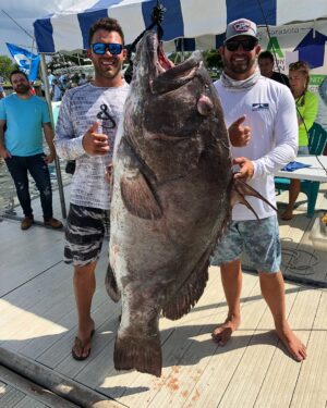 Alex Kompothecras Instagram - The boys did it again. Took home first place in the Sarasota slam💪🏻🔥🐠 #warsaw #gulfofmexico #seavee #shimano