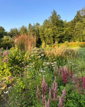 Alex Nevsky Instagram - Tellement d’heures passées à créer ce lieu complètement magnifique avec @vanpailong 🌻

@piscinesmova 
#jardin #homegarden #pietoudolfinspired