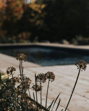 Alex Nevsky Instagram - À quel point on a hâte de se replonger les pieds dans l’eau et vivre tous ces moments en famille! 🌞🥹 

La piscine est devenue l’un de nos éléments préférés de la maison. C’était déjà le paradis, mais là, c’est à un autre niveau! ✨

En plus, nos amis chez @piscinesmova ont accepté de mettre au point, pour nous, une couleur sur mesure parfaite pour créer un effet plus naturel, qui se fond davantage avec l’environnement du Québec.

Nous avons fait plusieurs tests pour trouver LA teinte. Et, bonne nouvelle: La couleur est maintenant disponible! (C’est la teinte « fond rocheux », si jamais vous vous demandez) 🪨

 P.S. Il n’est pas trop tard pour enclencher un projet piscine, et être en mesure de se baigner cet été. Les piscines en fibre de verre ont l’avantage de s’installer en rapidement. J’dis ça j’dis rien! 🏊🏼 Photos: @sameravenelle 

#partenariat
