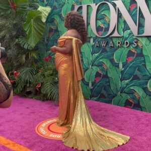 Alex Newell Instagram - Gratitude.

@csiriano thank you sooo much for this gown!! You know how to make a doll feel beautiful!! 

Also Diamonds really are a girls best friend! So thank you @boucheron 

My rock all season @kellybellevue you were up just as early every event and kept me sane and clear! 

And fren!! @snatchinwigz you went above and beyond with this hair!!! 

📸 @jennyandersonphoto