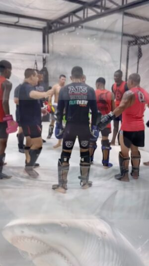Alex Oliveira Instagram - 🦈 Ser um Tubarão é ter confiança, determinação e força para alcançar seus objetivos. 
Assim como o tubarão, não tenha medo de desafios e siga em frente com coragem. 
Seja feroz e não deixe nada te deter. 
Venha treina na @ats_tubaroesbrasil 

🌊 #Tubarao #Forca #Determinacao #Coragem #Foco #videosengracados #videos#canaljf #notícia #noticias24 #noticia #noticias #notícias #novidades #jf #tresriosacidadedoesporte •
#franquia #jujitsulifestyle #tubaroesassasinos #taekwndo #lojas# kingfu #boxe #atsushi #Anime  #oesportepodemudarvidas #tresriosacidadedaluta #tresriosacidadedoesporte