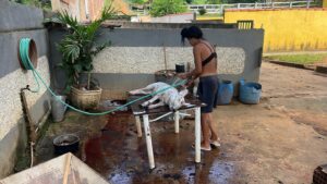 Alex Oliveira Instagram - Natal chegando!!!
#oesportepodemudarvidas