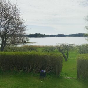 Alex Schulman Instagram - Jag var i Skärgården, och allt kändes så bekant. Trots att jag varit här ute så få gånger, aldrig mer än fem, så kände jag genast att jag hörde hemma här. Jag måste varit skärgårdsgubbe i ett tidigare liv. Och jag förstod nu: jag måste tillbaka. Gotland, haha, vilket skämt. Det är här jag måste vara.