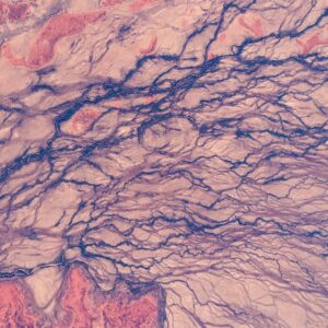 Alexander Gerst Instagram - It is incredible, even from space Australia looks like it could have been the creation of an ancient Aboriginal artist. #Horizons #archive / Es ist unglaublich, aber selbst aus dem Weltraum sieht Australien so aus, als wäre es eine urzeitliche Kreation eines genialen Aborigine-Künstlers.

ESA - European Space Agency / A.Gerst

#art #landscape #EarthFromSpace #ISS #InternationalSpaceStation #astronaut #throwback #tbt #Australia #ESA