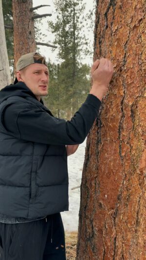 Alexander Volkov Instagram - Хейтерам. 

Чтобы вы понимали, это все реально. 

Тут профиль не для шуток.