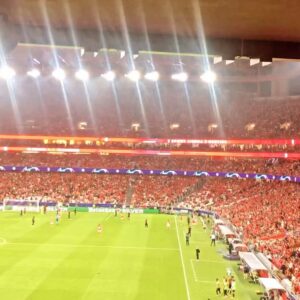 Alexandra Figueiredo Instagram - Uma quarta-feira normal: trabalho   Jogo do Benfica   Jogo de Sueca com Amigos madrugada fora!
Tudo no lugar certo!
