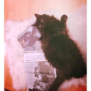 Alexandra Krosney Instagram - You were enigmatic, aggressively affectionate, elusive, beautiful, loving and surprisingly sweet. We were lucky to have 17 weird years with you, Lolita. If there’s a heaven for cats, I hope it has a big bed for you to hide under. You were by far the strangest woman I’ve ever been in a relationship with.