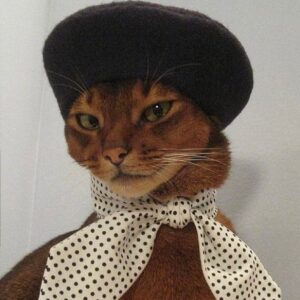Alexandra Krosney Instagram - “By the way, that's a cute hat” - Bob Dylan and hat enthusiasts everywhere.