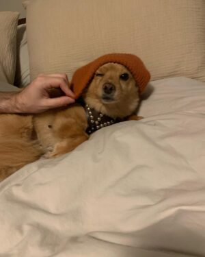 Alexandra Krosney Instagram - “By the way, that's a cute hat” - Bob Dylan and hat enthusiasts everywhere.