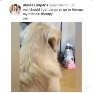 Alexandra Krosney Instagram - This is not a cry for help. I swear.  #bangxiety #letsbangagain