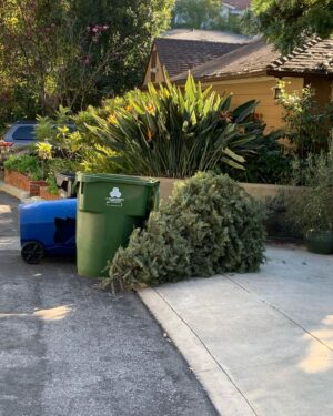 Alexandra Krosney Instagram - Christmas is over.