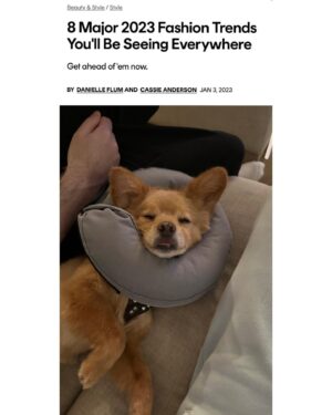 Alexandra Krosney Instagram - 2023 is a great time to start experimenting with a bold new accessory and to stop licking your wounds.