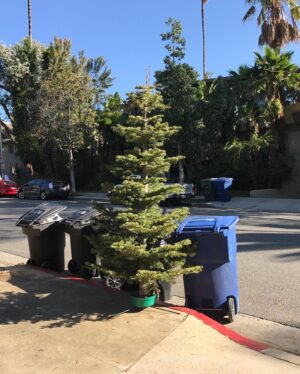 Alexandra Krosney Instagram - Christmas is over.