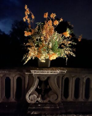 Alexandra Munroe Instagram - In Antwerp this weekend, celebrating Axel and May Vervoordt’s golden wedding anniversary at their castle, in the light of a full moon. Honored to be among their many friends from around the world who revel in the beauty they create, layered with palimpsests of cultural, architectural, and aesthetic visions drawn from Old Europe, Japan, India…and powered by the vision of some of the greatest artists of our time. Music is perhaps their most beloved passion; flip through these images to see Axel and May with soprano Joyce DiDonato, who performed the evening before on a stage whose backdrop was a monumental wall hanging by El Anatsui. Thank you, friends, for your enlightened generosity. And congratulations. 

@axelvervoordt_co @mayvervoordt @borisvervoordt @kimsoojastudio @anish.kapoor @jamesturrellart #magic #antwerp #goldenanniversary #gutai #joycedidonato #friendship