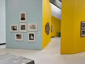 Alexandra Munroe Instagram - In Rome, I was thrilled to speak on Daido Moriyama and postwar Japanese photography at MAXXI with Hou Hanru and Elena Motisi. Their show captures the infinity, speed, eroticism, and sadness of Daido’s voracious documentation of Tokyo in the throes of change over decades of postwar urbanization, and its cultural toll. Bravo to Daido, bravo to MAXXI! 

I organized his first show in a  U.S. museum in 1998! Forever fascinated 

#MAXXI #daidomoriyama #rome