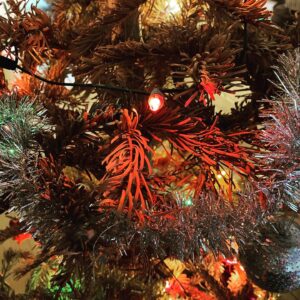 Alexandre Astier Instagram - 5e année consécutive pour mon sapin-zombie, toujours d'une incroyable dignité et d'un panache inextinguible.