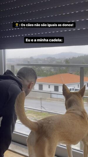 Alexandre Santos Instagram - Somos almas gémeas 🤍😂