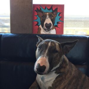 Alexis Krauss Instagram - hi it’s me again…
i keep signing on to watch rizzy’s tribute reel and cry 😢
so grateful for all the photos and videos y’all have shared especially all the #tourpup memories. she was a member of the @sleighbells family since 2012. here are some of my favorite bus, backstage and day off moments.

thank you @ajfaber for sharing so many of these ❤️