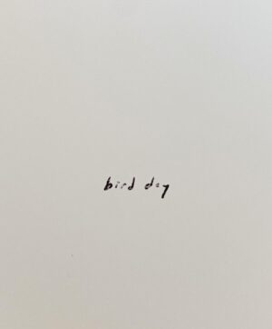 Alexis Krauss Instagram - today is my birthday aka bird day 🪶

and now some musings on this past year. 

i’ve realized that never before have 365 days of life challenged my body in the ways this year did. and what i’ve realized is that my body (and all bodies) are amazing and resilient and imperfect and beautiful and i’m just in awe of them.

✨i started my 37th year at my peak physical strength. fresh off tour and stronger than ever i accomplished my most significant goals as a rock climber and a climbing guide. i was pushing hard and it was feeling really good.
✨then in january i began my pregnancy journey. my body started to change, my pace slowed slightly but i still felt very much like myself. 
✨during the 2nd week of my second trimester i fractured my shoulder and was thrown completely off track. everything haulted and i was broken. but after injury comes recovery, quite possibly the most challenging but beautiful process i’ve ever experienced. after a few months of busting my ass with PT my mobility returned but my belly had grown and suddenly there was no forgetting that my body was very much hosting a tiny human.
✨despite the challenges of my third trimester i was able to rediscover my body and revel in the joy of once again feeling my strength and my power. i climbed, i hiked, i swam, i guided, I taught. i recorded vocals for an entire album. i was me again.
✨here i am 39 weeks pregnant and 50lbs heavier than i was 9 months ago. my body feels WILD but i’m thriving in my weird pregnant way and actually finally feeling fully ready to labor and give birth. if my body can make a human, it can birth one.
✨today was the sweetest way to step into my 38th year. thank you to my partner for supporting me in still climbing this far along. it still feels right for my body and at this point i’m just trying to trust my instincts and really listen to what my body needs to get through this final stretch of pregnancy. 
✨thank you to the stranger who left flowers in the parking lot. thank you to my beautiful mama for birthing me. thank you to my friends and family for nourishing me. thank you to the birds for singing. thank you to the moon for shining.