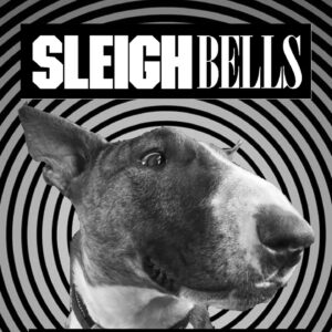 Alexis Krauss Instagram - hi it’s me again…
i keep signing on to watch rizzy’s tribute reel and cry 😢
so grateful for all the photos and videos y’all have shared especially all the #tourpup memories. she was a member of the @sleighbells family since 2012. here are some of my favorite bus, backstage and day off moments.

thank you @ajfaber for sharing so many of these ❤️