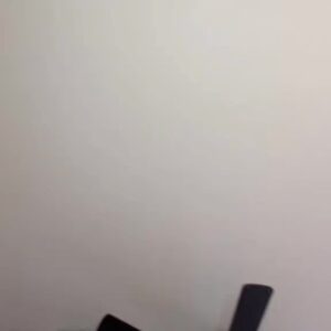 Alexis Nikole Nelson Instagram - My fiancé’s brother asked if I was going to see ICP so 🙃😆 I feel like I never share my weird non plant vids on here but this was too silly to not share!!