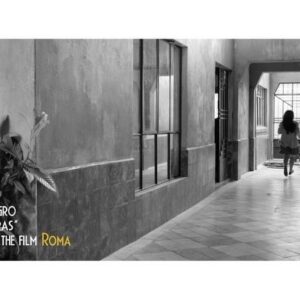 Alfonso Cuarón Instagram - ¡Ya llegó! ¡Ya está aquí! LA CUMBIA DEL BORRAS de @sonidogallonegro. ¡A bailar! Escúchala en spoti.fi/2tq5kBY
#inspiredByROMA
