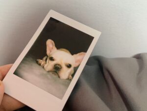 Ali Batu Instagram - 📖🌱🐶‘’

每天都綠綠的生活 有趣
新的書: 如果 我們終將分離
我家木木有厭世臉但可愛

#分享莉常