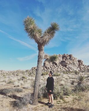Ali Liebert Instagram - so much beauty in the desert - can't get over the color of the sky 🌅 I count myself very lucky to have spent a few days in the sun with these beautiful people.  #joshuatree #eastjesus #palmsprings #salvationmountain #saltonsea #roadtrip #queertravel
