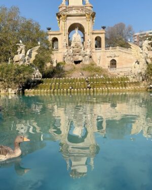 Ali Yağcı Instagram - Barcelona güneşi 🙂