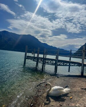 Ali Yağcı Instagram - Rio de Lugano ⛅️