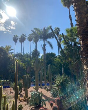 Alican Okumuş Instagram - 🌵