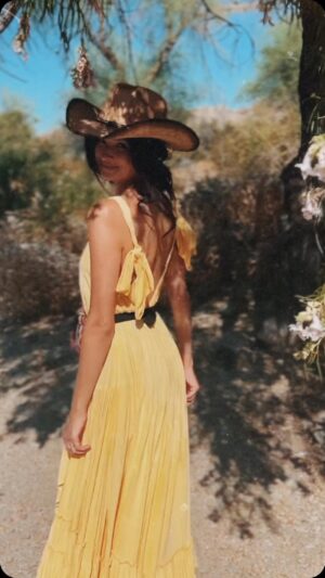 Alice Greczyn Instagram - If it doesn’t twirl when I do, I don’t want it. 🌻 Wearing my @thewyldsage gown in the wild and feeling like I may just live in it all summer long. 

#desertgirl #countrygirl #linendress #countryglam #sundress #sundressseason #maxidress #linen #bows🎀 #summergown #twirl #twirldress #backlessdress #putafannypackonit