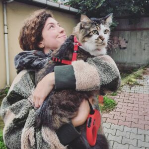 Alicia Kapudağ Instagram - Backstreet Cats 🍁🦝🦊🌿 #OskarLloyd