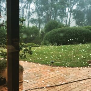 Alin Sumarwata Instagram - Good to be inside for a different reason today. ⁣
🏌🏻‍♀️⁣
#melbournesummer⁣
#australianbushfires⁣
#melbournesmoke⁣
#bringyourgasmask⁣⁣
#melbournehail⁣
#bringyourhelmet⁣
⁣