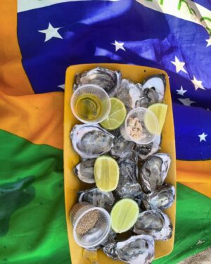 Aline Tofalo Instagram - Bahia traz tudo à tona sempre. Bahia limpa, Bahia energiza. Bahia entra em você e mexe com tudo. Traz a experiência completa com cultura, comida, aprendizagem, afeto, água quente e ancestralidade. 
Bahia ensina a quem quer aprender. Aprende quem sabe escutar para além da palavra. 
Bahia te faz pensar: “que bom que eu to viva!”