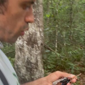 Aline Tofalo Instagram - Bahia traz tudo à tona sempre. Bahia limpa, Bahia energiza. Bahia entra em você e mexe com tudo. Traz a experiência completa com cultura, comida, aprendizagem, afeto, água quente e ancestralidade. 
Bahia ensina a quem quer aprender. Aprende quem sabe escutar para além da palavra. 
Bahia te faz pensar: “que bom que eu to viva!”