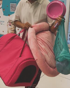 Aline Tofalo Instagram - Charlotte sempre foi minha definição de casa. 
Voltar pra casa, significava voltar pra ela. 
Charlotte era o motivo de voltar. O motivo de levantar da cama. 
Charlotte mexeu comigo desde o primeiro dia em que nos conhecemos. Me desafiou, me fez sentir um amor desmedido. 
Carlotte nem sabe mas foi suporte emocional todos os dias pra alguém que chorou de solidão desde muito cedo
Charlotte me sentia, me observava como ninguém. 
Em crises, Charlotte me chamava pro eixo mordendo, subindo no meu colo, ficava brava. 
Em noite fria, Charlotte estava entre as minhas pernas num movimento muito nosso, perfeito, sintonizado e natural. Meu jeito de dormir era o dela. 
Charlotte no calor deitava de barriga pra cima, porém sempre com contato físico, sempre encostada em mim 
 Dizem quem um gato de barriga pra cima, está confiando a vida. 
Charlotte confiava, olhava no olho, pedia colo, conversava, acompanhava cada movimento. 
Charlotte tinha mania de dormir debaixo da coberta e pedia por isso. Ensinei quando ainda era bebê (e bagunceira), e ela entendeu que debaixo das cobertas era hora de acalmar, de descansar. 
Charlotte esteve presente nos banhos infinitos onde rezava de joelhos pra conseguir ficar em pé. E nos banhos rápidos  e energéticos também 
Charlotte esteve presente em todas as alegrias e tragedias que me acometeram nesses quase 11 anos. 
Charlotte foi a fiel escudeira de uma menina entrando na vida adulta. Me viu crescer, empreender, falhar, obter sucesso, namorar, separar, brigar, fazer as pazes. Charlotte tem muitos segredos com ela. 

Meu termômetro era ela. Como ela te recebia na nossa casa. O que ela sentia era meu guia. 
Charlotte nunca teve um colo negado. Os pedidos pra carinho nunca ficaram sem respostas. Cada miado foi respondido. E quantos travesseiros foram ajeitados pra serem divididos, para que ela repousasse a cabeça juntinho comigo. Olho no olho, respiração com respiração. A cada suspiro. Por 10 anos e 9 meses. 
Conhecia ela em detalhes. Em cada barulhinho, piscadinha, entonação de miado. Sabia quando era manha, sabia quando era xixi, sabia quando era colo, só demorei pra entender quando foi dor. 
Não tivemos referências sobre dores. 
[continua ⬇️]
