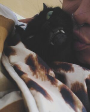Aline Tofalo Instagram - Charlotte sempre foi minha definição de casa. 
Voltar pra casa, significava voltar pra ela. 
Charlotte era o motivo de voltar. O motivo de levantar da cama. 
Charlotte mexeu comigo desde o primeiro dia em que nos conhecemos. Me desafiou, me fez sentir um amor desmedido. 
Carlotte nem sabe mas foi suporte emocional todos os dias pra alguém que chorou de solidão desde muito cedo
Charlotte me sentia, me observava como ninguém. 
Em crises, Charlotte me chamava pro eixo mordendo, subindo no meu colo, ficava brava. 
Em noite fria, Charlotte estava entre as minhas pernas num movimento muito nosso, perfeito, sintonizado e natural. Meu jeito de dormir era o dela. 
Charlotte no calor deitava de barriga pra cima, porém sempre com contato físico, sempre encostada em mim 
 Dizem quem um gato de barriga pra cima, está confiando a vida. 
Charlotte confiava, olhava no olho, pedia colo, conversava, acompanhava cada movimento. 
Charlotte tinha mania de dormir debaixo da coberta e pedia por isso. Ensinei quando ainda era bebê (e bagunceira), e ela entendeu que debaixo das cobertas era hora de acalmar, de descansar. 
Charlotte esteve presente nos banhos infinitos onde rezava de joelhos pra conseguir ficar em pé. E nos banhos rápidos  e energéticos também 
Charlotte esteve presente em todas as alegrias e tragedias que me acometeram nesses quase 11 anos. 
Charlotte foi a fiel escudeira de uma menina entrando na vida adulta. Me viu crescer, empreender, falhar, obter sucesso, namorar, separar, brigar, fazer as pazes. Charlotte tem muitos segredos com ela. 

Meu termômetro era ela. Como ela te recebia na nossa casa. O que ela sentia era meu guia. 
Charlotte nunca teve um colo negado. Os pedidos pra carinho nunca ficaram sem respostas. Cada miado foi respondido. E quantos travesseiros foram ajeitados pra serem divididos, para que ela repousasse a cabeça juntinho comigo. Olho no olho, respiração com respiração. A cada suspiro. Por 10 anos e 9 meses. 
Conhecia ela em detalhes. Em cada barulhinho, piscadinha, entonação de miado. Sabia quando era manha, sabia quando era xixi, sabia quando era colo, só demorei pra entender quando foi dor. 
Não tivemos referências sobre dores. 
[continua ⬇️]