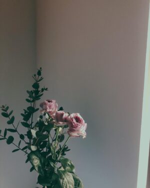 Alisa Takigawa Instagram - 呼吸.

#flowers#花#花びら