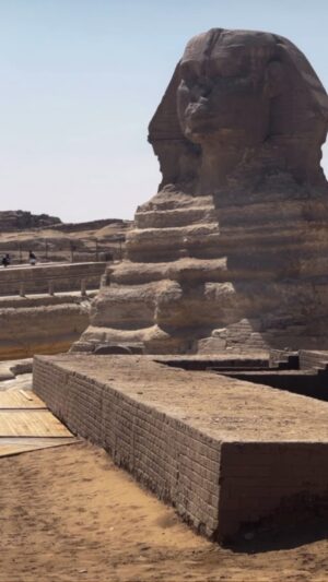 Alise Willis Instagram - EGYPT, you are truly special. Anyone who knows me know it’s hard for me to pick a favorite of anything! Egypt is definitely at the top of the list of my favorite places I’ve visited. What a history lesson! I didn’t expect to learn so much. Everywhere we went we were welcomed home🥰 It was spiritual. It was beautiful. The fact I got to share this experience with my siblings- celebrating my brothers 30th birthday, made it extra special. I’ll hold onto these memories forever. I’m so fulfilled🇪🇬❣️🐫🗿👑🧕🏾 

#Egypt
#cairo 
#luxor 
#tripofalifetime
#bucketlist 
#brothersisterlove 
#motherland 
#africa 
#terrillsdirtythirty 
#aligned 
#kingsandqueens