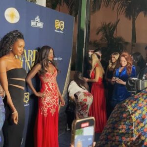 Alise Willis Instagram - Pre-Oscar shenanigans❣️

#oscarweekend #losangeles #actress #redcarpet

📸- @fitzentertainment