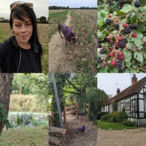 Alison Law Instagram - Autumnal evening walk with my bestie 🍁🍂 

#essex #rural #walking #autumn #dogsofinstagram #staffylove #uk